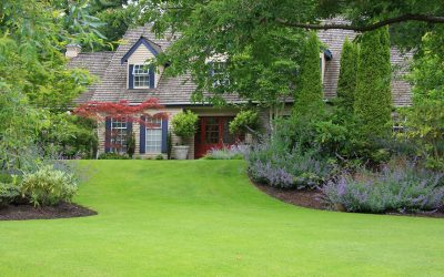 Four Summer Lawn Care Tips To Keep Your Lawn Healthy