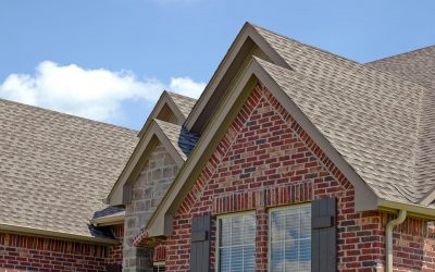 Is Your Brick Home At Risk for a Termite Infestation?