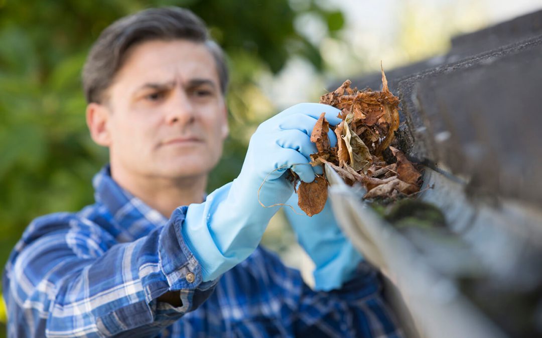 Ways to Clean Your Gutters