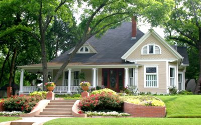 How to Keep Trees Around Your Home Healthy