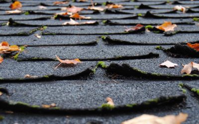 6 Signs That You Need a New Roof